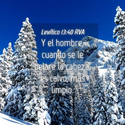 Picture 04 - Levítico 13:40 RVA - Y el hombre, cuando se le pelare la cabeza, es - Bible Verse Picture