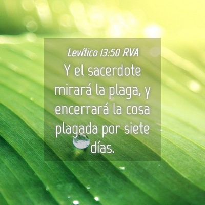 Picture 04 - Levítico 13:50 RVA - Y el sacerdote mirará la plaga, y encerrará la - Bible Verse Picture