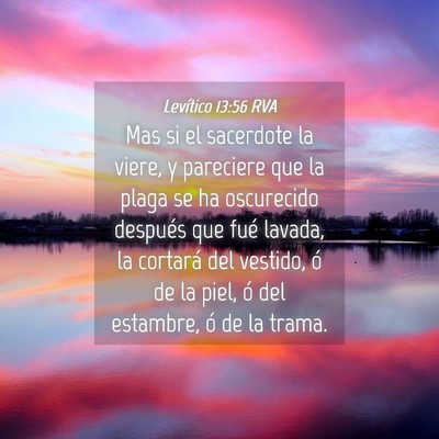 Picture 04 - Levítico 13:56 RVA - Mas si el sacerdote la viere, y pareciere que la - Bible Verse Picture