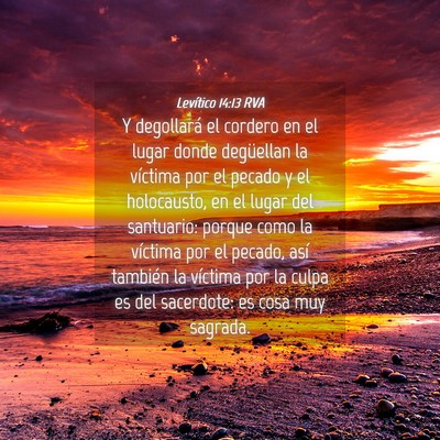 Picture 04 - Levítico 14:13 RVA - Y degollará el cordero en el lugar donde - Bible Verse Picture