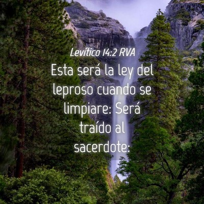 Picture 04 - Levítico 14:2 RVA - Esta será la ley del leproso cuando se limpiare: - Bible Verse Picture