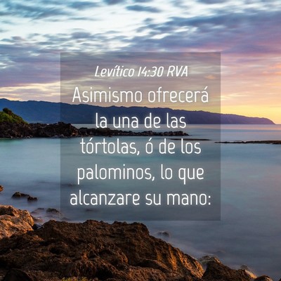 Picture 04 - Levítico 14:30 RVA - Asimismo ofrecerá la una de las tórtolas, ó de - Bible Verse Picture