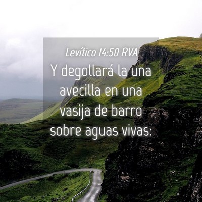 Picture 04 - Levítico 14:50 RVA - Y degollará la una avecilla en una vasija de - Bible Verse Picture