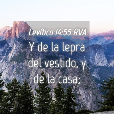 Picture 04 - Levítico 14:55 RVA - Y de la lepra del vestido, y de la - Bible Verse Picture