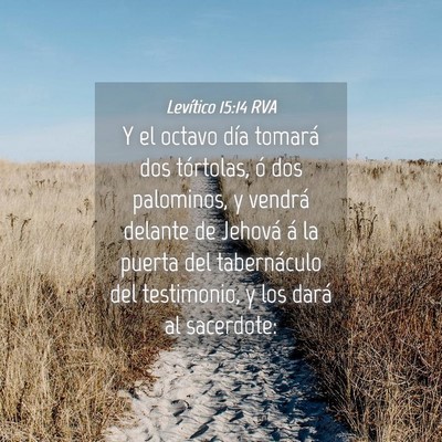 Picture 04 - Levítico 15:14 RVA - Y el octavo día tomará dos tórtolas, ó dos - Bible Verse Picture