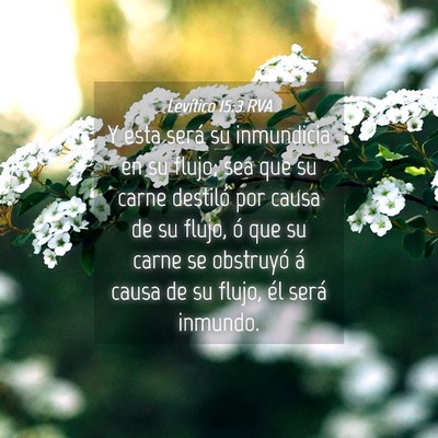 Picture 04 - Levítico 15:3 RVA - Y esta será su inmundicia en su flujo; sea que - Bible Verse Picture
