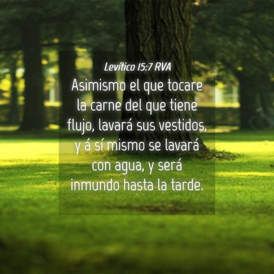 Picture 04 - Levítico 15:7 RVA - Asimismo el que tocare la carne del que tiene - Bible Verse Picture