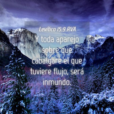 Picture 04 - Levítico 15:9 RVA - Y toda aparejo sobre que cabalgare el que tuviere - Bible Verse Picture