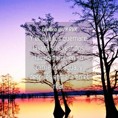 Picture 04 - Levítico 16:28 RVA - Y el que los quemare, lavará sus vestidos, - Bible Verse Picture