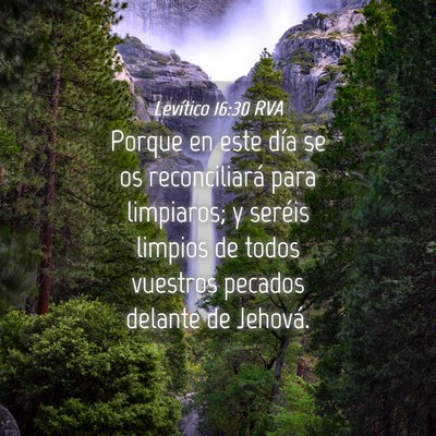 Picture 04 - Levítico 16:30 RVA - Porque en este día se os reconciliará para - Bible Verse Picture