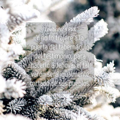 Picture 04 - Levítico 17:9 RVA - Y no lo trajere á la puerta del tabernáculo del - Bible Verse Picture