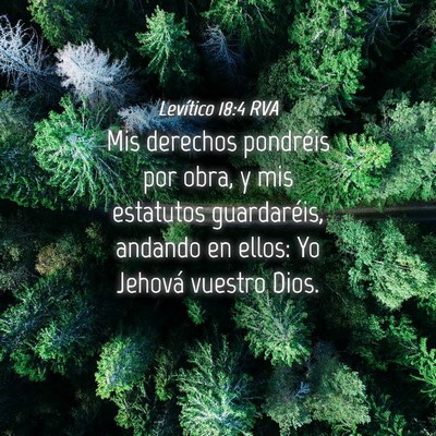 Picture 04 - Levítico 18:4 RVA - Mis derechos pondréis por obra, y mis estatutos - Bible Verse Picture