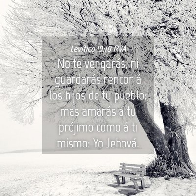 Picture 04 - Levítico 19:18 RVA - No te vengarás, ni guardarás rencor á los - Bible Verse Picture