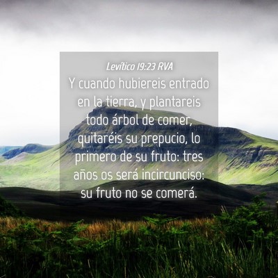 Picture 04 - Levítico 19:23 RVA - Y cuando hubiereis entrado en la tierra, y - Bible Verse Picture