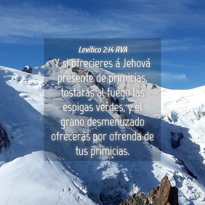 Picture 04 - Levítico 2:14 RVA - Y si ofrecieres á Jehová presente de primicias, - Bible Verse Picture