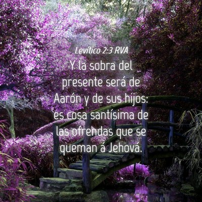 Picture 04 - Levítico 2:3 RVA - Y la sobra del presente será de Aarón y de sus - Bible Verse Picture