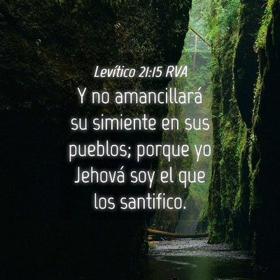 Picture 04 - Levítico 21:15 RVA - Y no amancillará su simiente en sus pueblos; - Bible Verse Picture