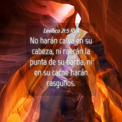 Picture 04 - Levítico 21:5 RVA - No harán calva en su cabeza, ni raerán la punta - Bible Verse Picture