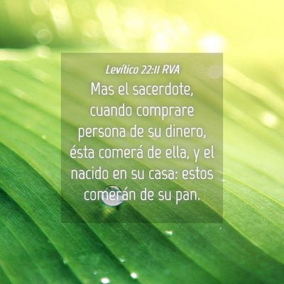 Picture 04 - Levítico 22:11 RVA - Mas el sacerdote, cuando comprare persona de su - Bible Verse Picture