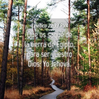Picture 04 - Levítico 22:33 RVA - Que os saqué de la tierra de Egipto, para ser - Bible Verse Picture