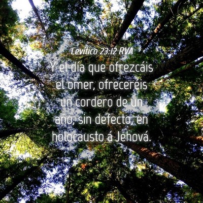 Picture 04 - Levítico 23:12 RVA - Y el día que ofrezcáis el omer, ofreceréis un - Bible Verse Picture