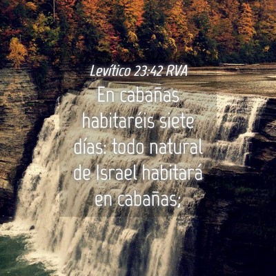 Picture 04 - Levítico 23:42 RVA - En cabañas habitaréis siete días: todo natural - Bible Verse Picture