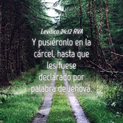 Picture 04 - Levítico 24:12 RVA - Y pusiéronlo en la cárcel, hasta que les fuese - Bible Verse Picture