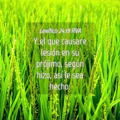 Picture 04 - Levítico 24:19 RVA - Y el que causare lesión en su prójimo, según - Bible Verse Picture