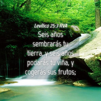 Picture 04 - Levítico 25:3 RVA - Seis años sembrarás tu tierra, y seis años - Bible Verse Picture