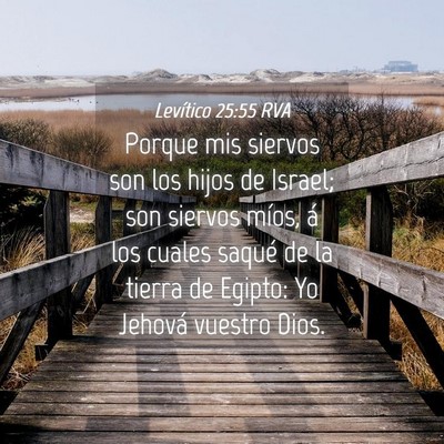 Picture 04 - Levítico 25:55 RVA - Porque mis siervos son los hijos de Israel; son - Bible Verse Picture