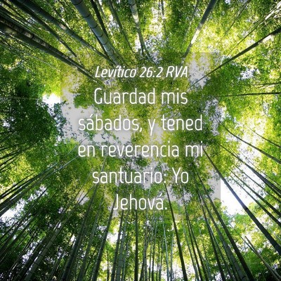 Picture 04 - Levítico 26:2 RVA - Guardad mis sábados, y tened en reverencia mi - Bible Verse Picture