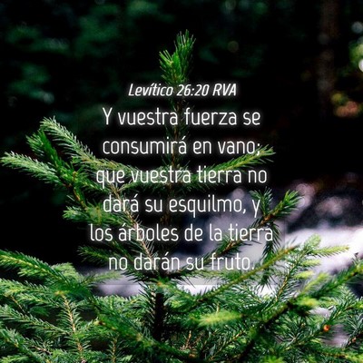 Picture 04 - Levítico 26:20 RVA - Y vuestra fuerza se consumirá en vano; que - Bible Verse Picture