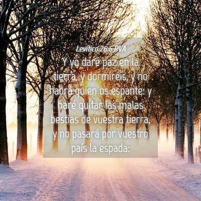 Picture 04 - Levítico 26:6 RVA - Y yo daré paz en la tierra, y dormiréis, y no - Bible Verse Picture