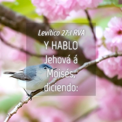 Picture 04 - Levítico 27:1 RVA - Y HABLO Jehová á Moisés, - Bible Verse Picture