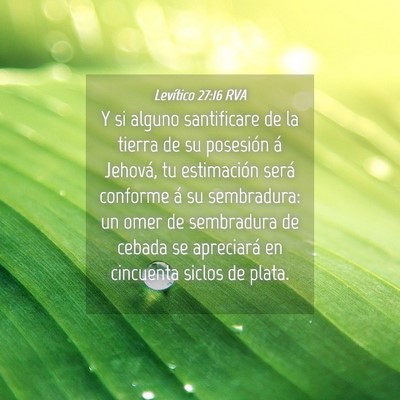 Picture 04 - Levítico 27:16 RVA - Y si alguno santificare de la tierra de su - Bible Verse Picture