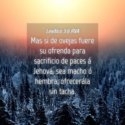 Picture 04 - Levítico 3:6 RVA - Mas si de ovejas fuere su ofrenda para sacrificio - Bible Verse Picture