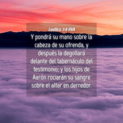 Picture 04 - Levítico 3:8 RVA - Y pondrá su mano sobre la cabeza de su ofrenda, - Bible Verse Picture