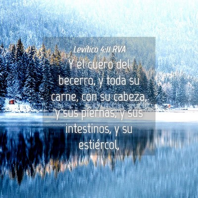 Picture 04 - Levítico 4:11 RVA - Y el cuero del becerro, y toda su carne, con su - Bible Verse Picture