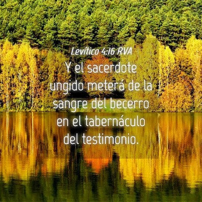 Picture 04 - Levítico 4:16 RVA - Y el sacerdote ungido meterá de la sangre del - Bible Verse Picture