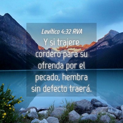 Picture 04 - Levítico 4:32 RVA - Y si trajere cordero para su ofrenda por el - Bible Verse Picture