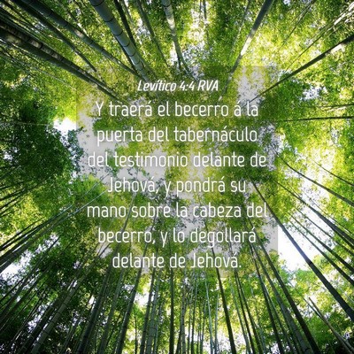 Picture 04 - Levítico 4:4 RVA - Y traerá el becerro á la puerta del - Bible Verse Picture