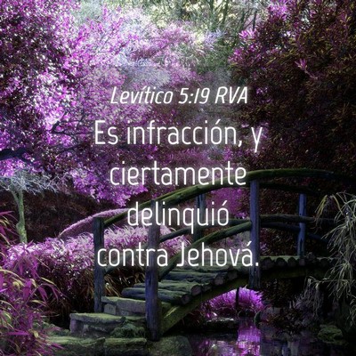 Picture 04 - Levítico 5:19 RVA - Es infracción, y ciertamente delinquió contra - Bible Verse Picture