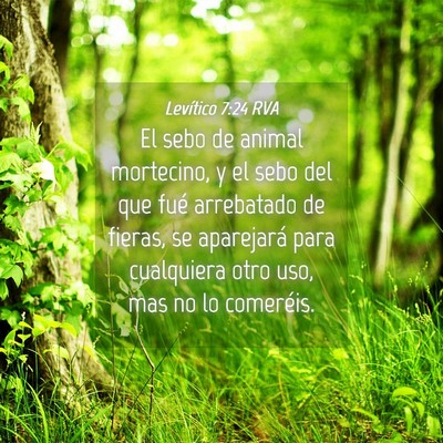 Picture 04 - Levítico 7:24 RVA - El sebo de animal mortecino, y el sebo del que - Bible Verse Picture