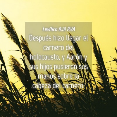 Picture 04 - Levítico 8:18 RVA - Después hizo llegar el carnero del holocausto, y - Bible Verse Picture