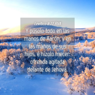 Picture 04 - Levítico 8:27 RVA - Y púsolo todo en las manos de Aarón, y en las - Bible Verse Picture