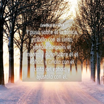 Picture 04 - Levítico 8:7 RVA - Y puso sobre él la túnica, y ciñólo con el - Bible Verse Picture