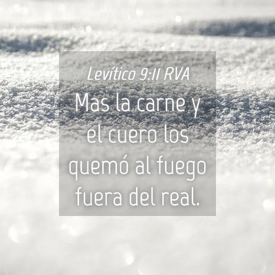 Picture 04 - Levítico 9:11 RVA - Mas la carne y el cuero los quemó al fuego fuera - Bible Verse Picture