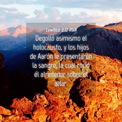 Picture 04 - Levítico 9:12 RVA - Degolló asimismo el holocausto, y los hijos de - Bible Verse Picture