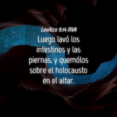 Picture 04 - Levítico 9:14 RVA - Luego lavó los intestinos y las piernas, y - Bible Verse Picture