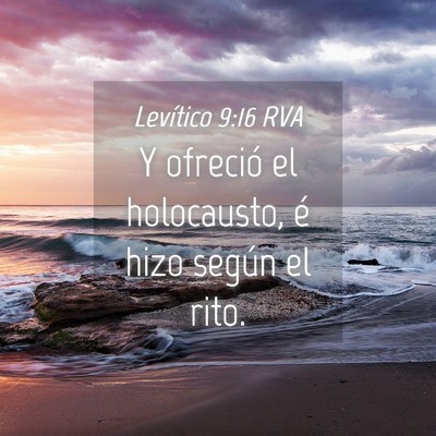 Picture 04 - Levítico 9:16 RVA - Y ofreció el holocausto, é hizo según el - Bible Verse Picture